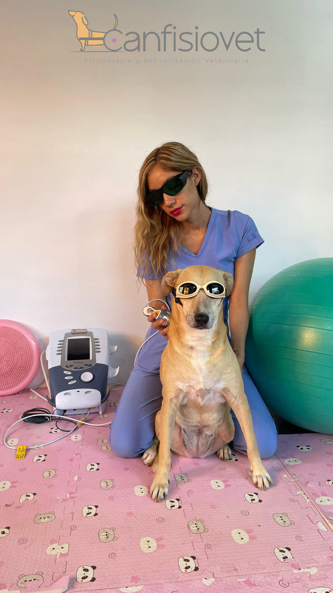 Dra. Alba Yareli Guerrero Diaz - Fisioterapeuta Veterinaria